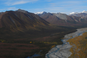 remote alaska property for sale wood river lodge