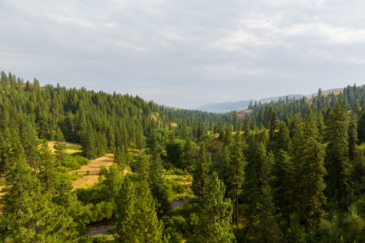 timber land for sale idaho sanctuary on third fork