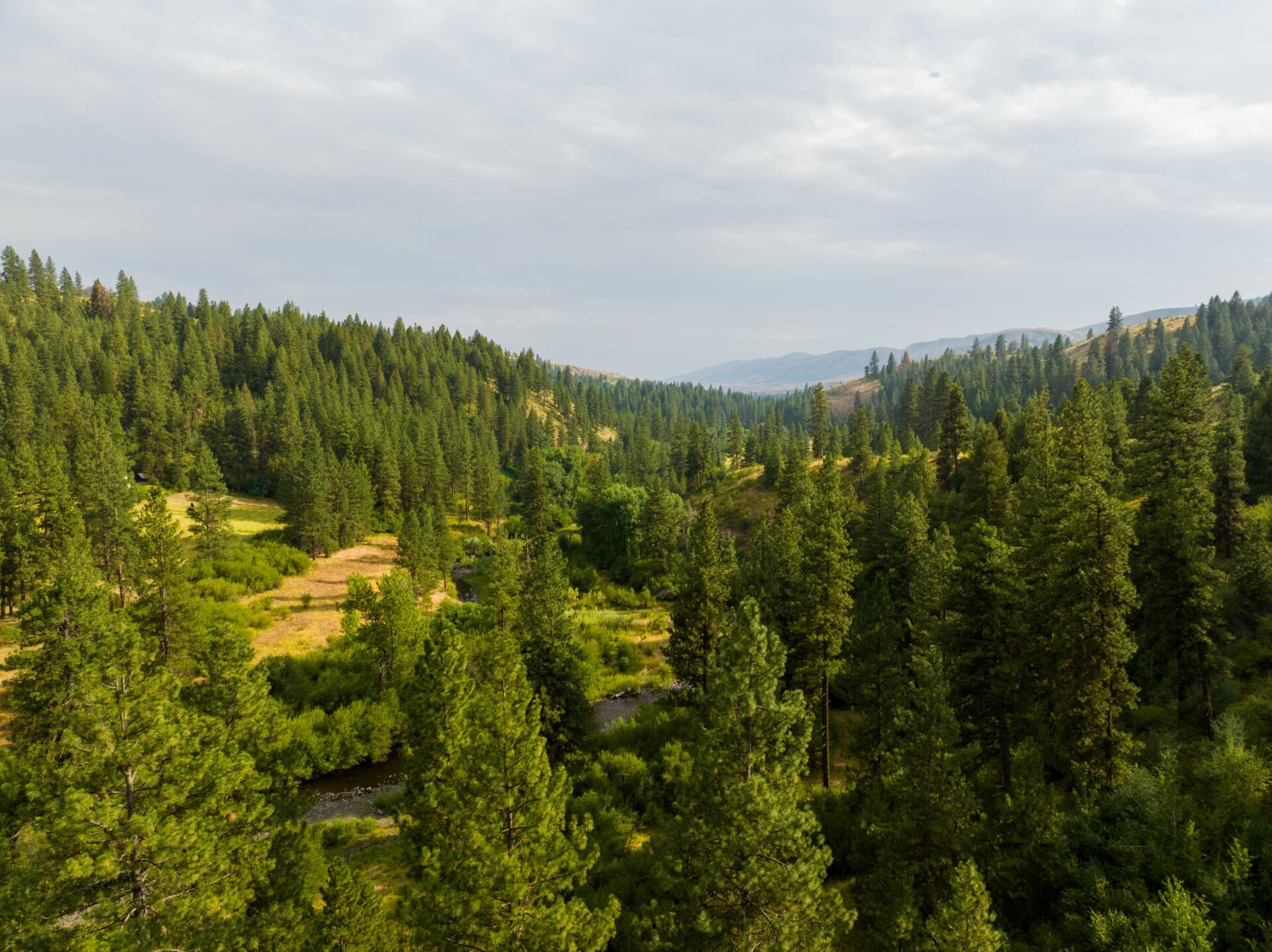 timber land for sale idaho sanctuary on third fork Fay Ranches