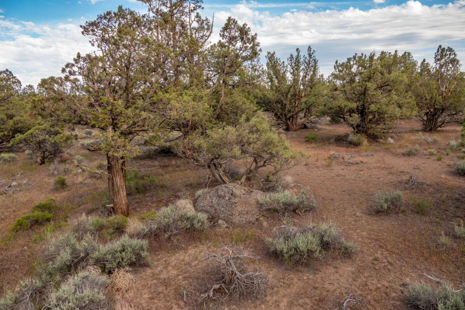 Wild Horse Trail Farm at Deschutes River Ranch Bend Oregon Fay Ranches
