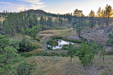 waterfowl hunting land for sale montana golder ranch on rosebud creek