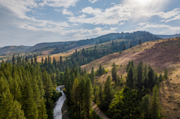 waterfowl property for sale idaho sanctuary on third fork
