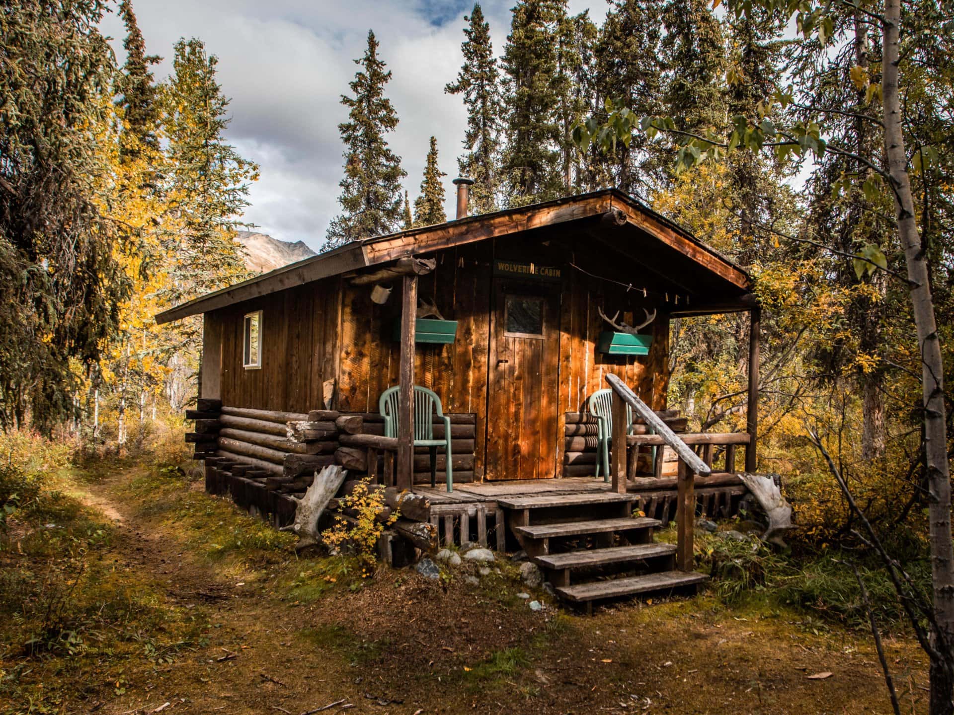 wolverine cabin alaska wood river lodge