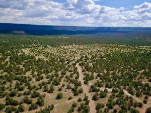 cattle property for sale new mexico mesa springs ranch