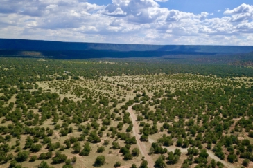 cattle property for sale new mexico mesa springs ranch