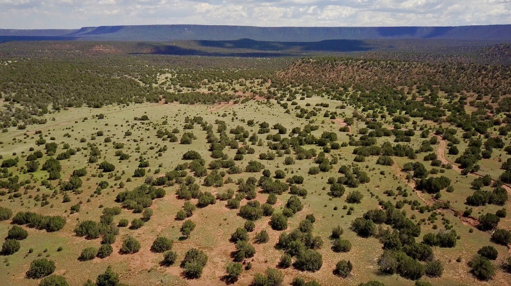 green pasture drone new mexico mesa springs ranch