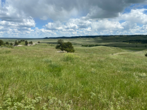 hills montana paradise coulee ranch