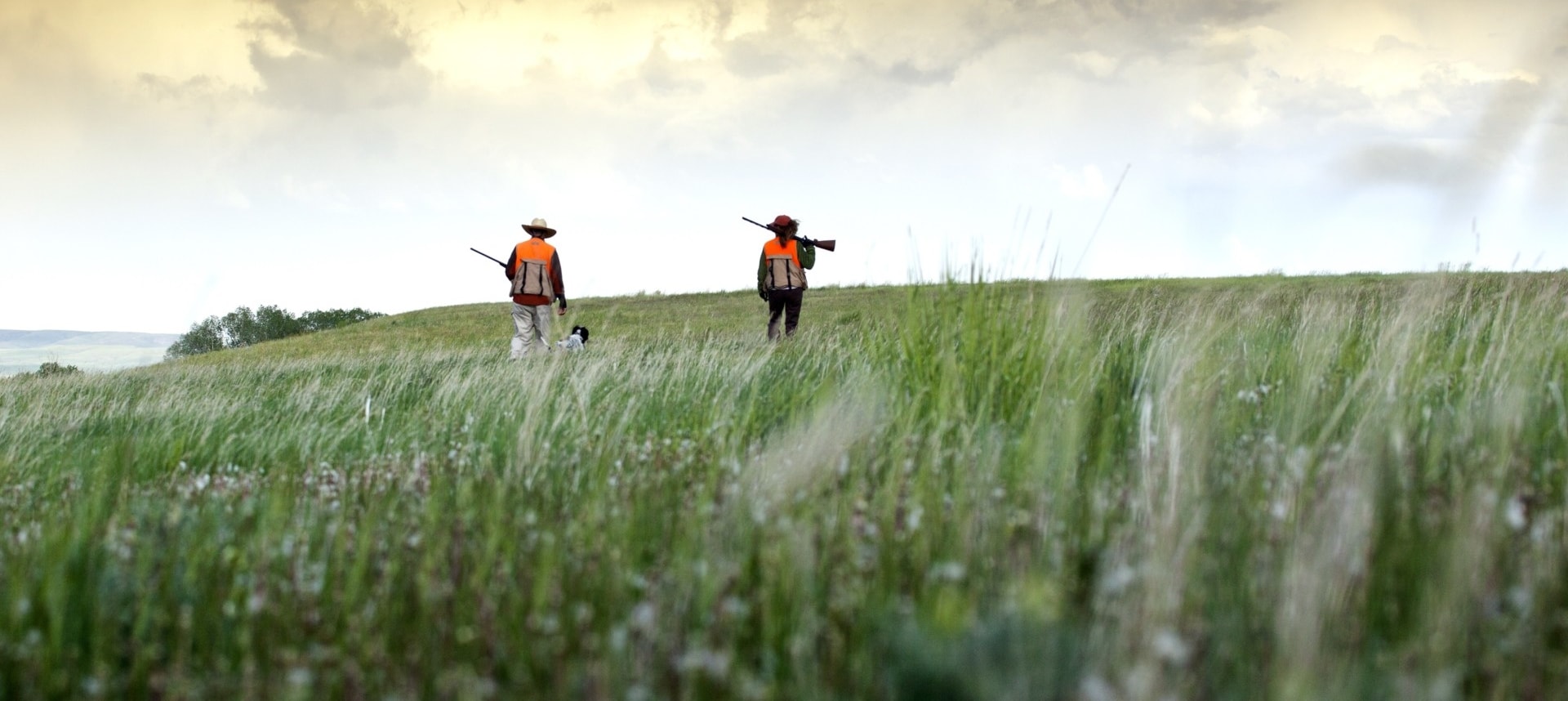 Upland Game Bird Hunting Duke Fay Ranches