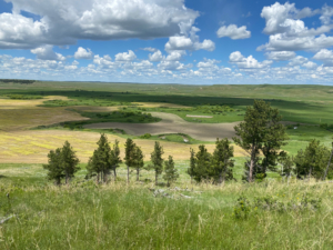landscape montana paradise coulee ranch
