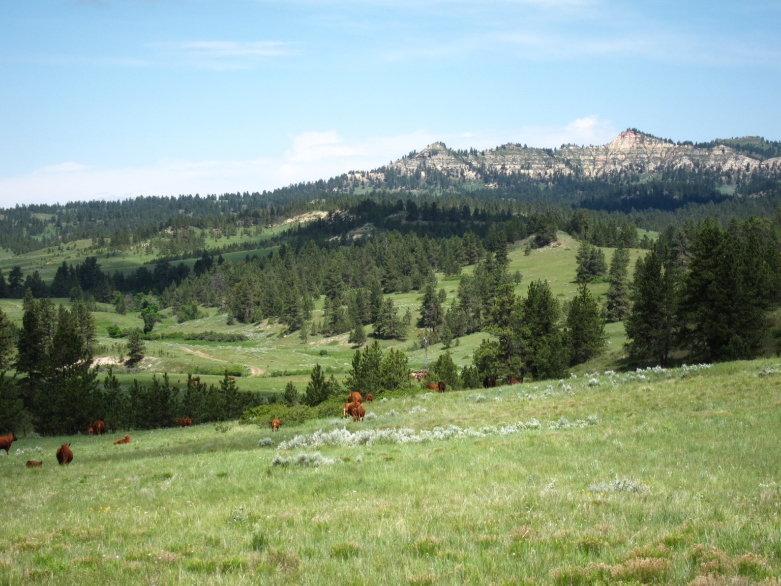 Golder Ranch on Rosebud Creek Colstrip Montana Fay Ranches