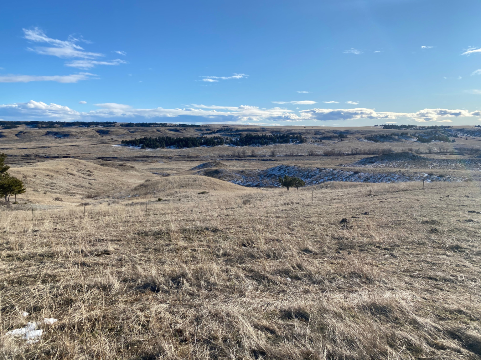 Paradise Coulee Ranch | Teigen Montana | Fay Ranches