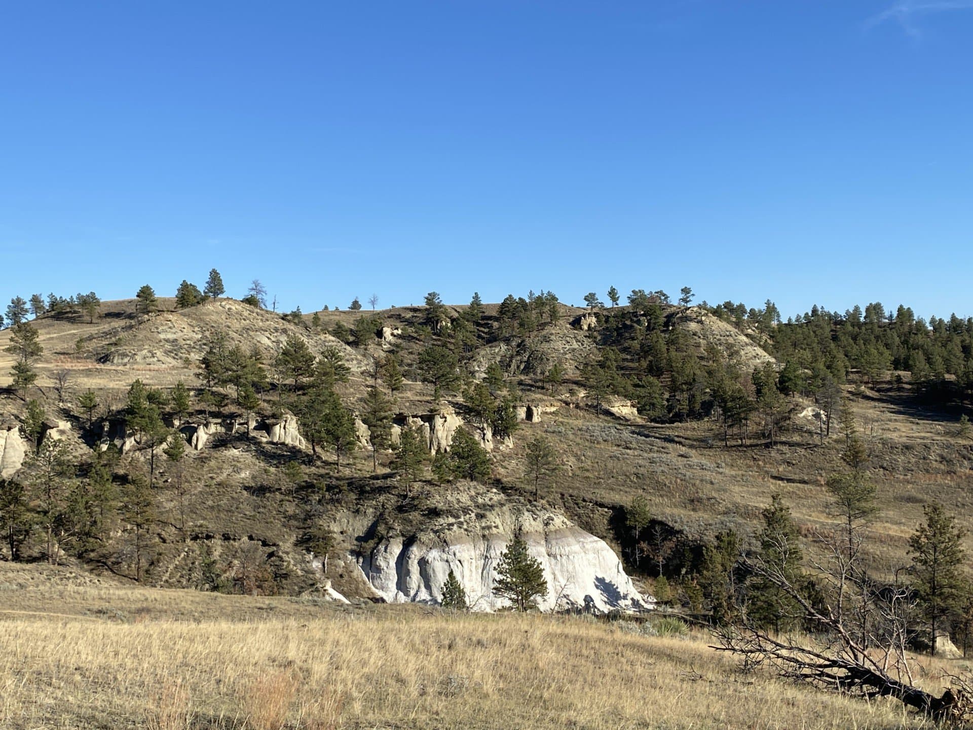 Big Country Montana Missouri Breaks Wolf Creek Ranch