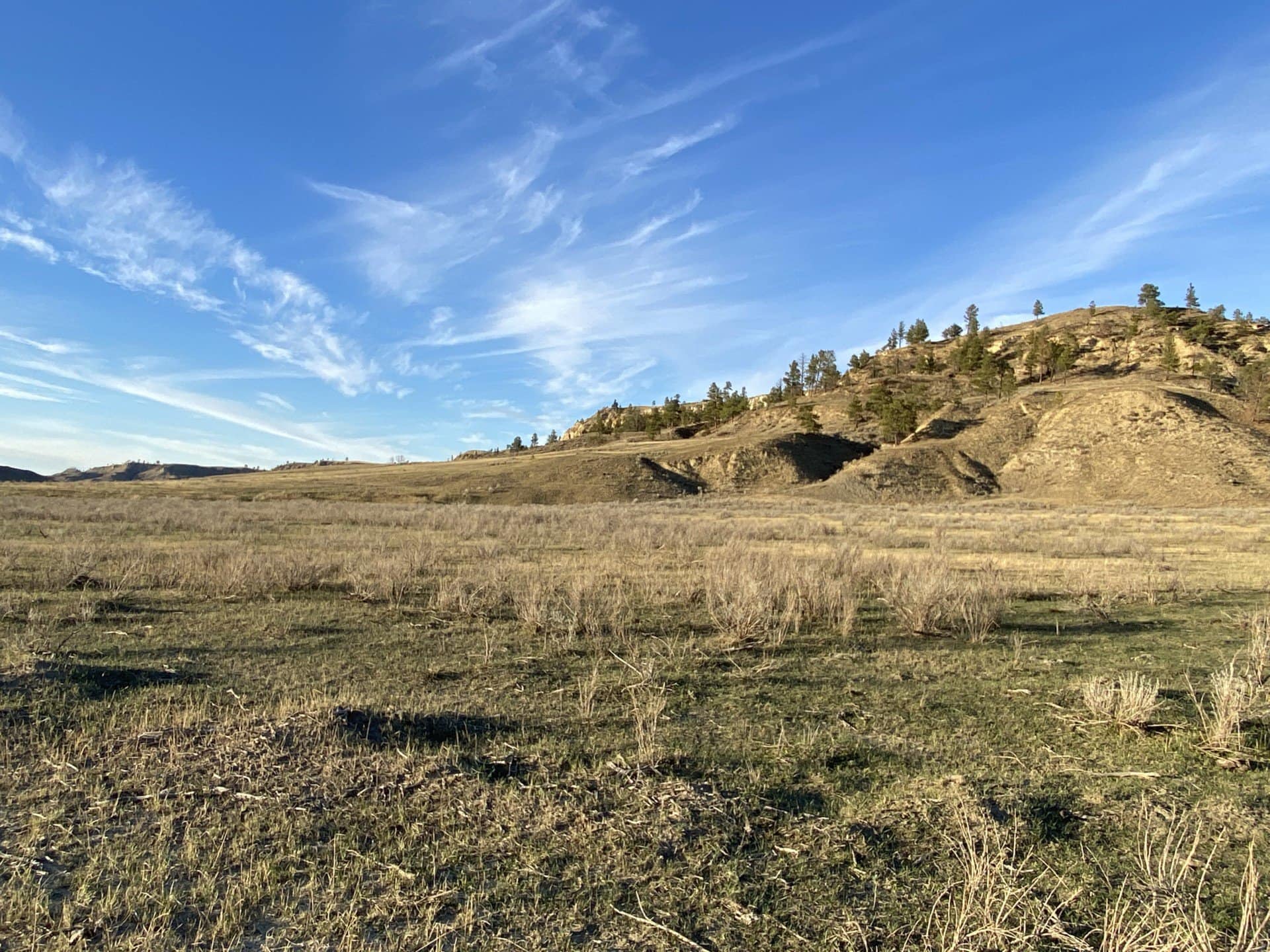 Big Sky and Timbered Ridge Montna Missouri Breaks Wolf Creek Ranch
