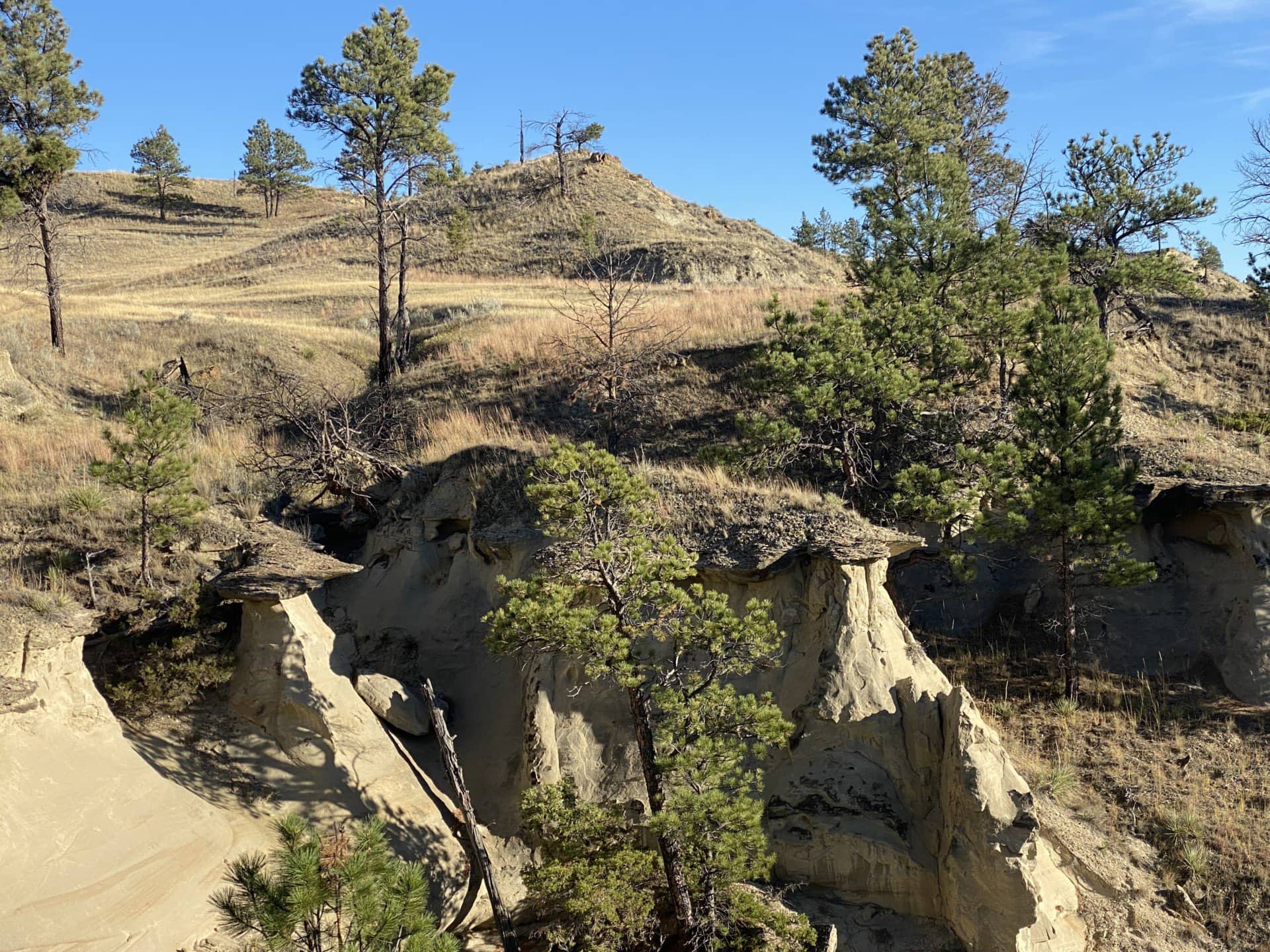 Cool Sandstone Formation Montana Missouri Breaks Wolf Creek Ranch