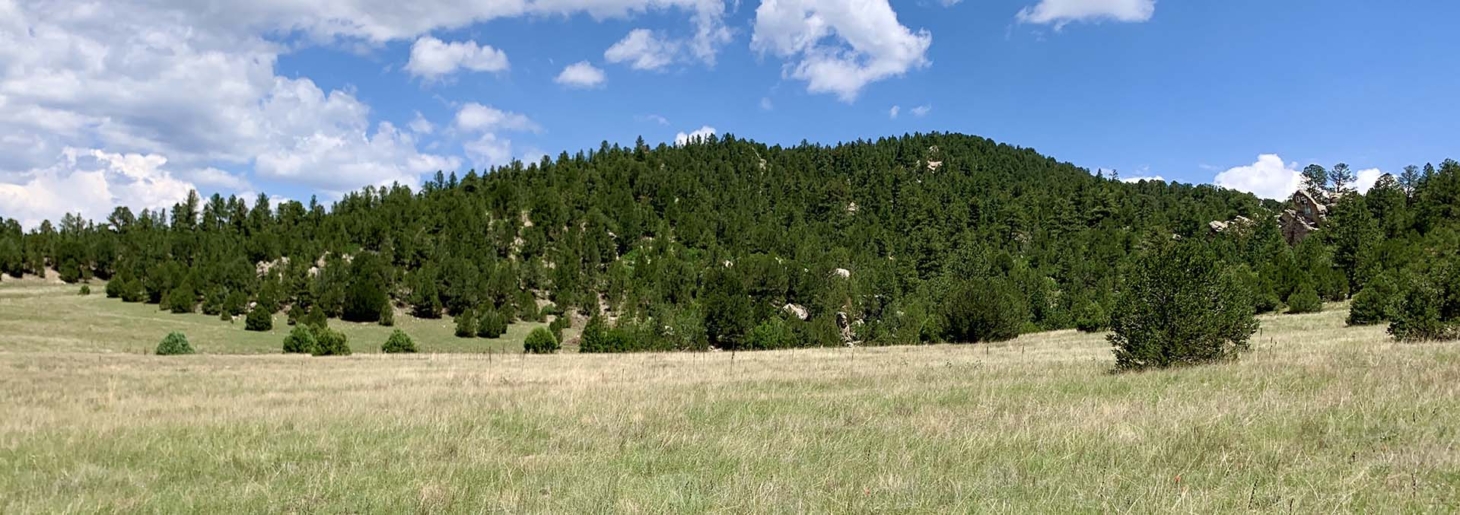 Romero Hills Ranch Mora New Mexico Fay Ranches