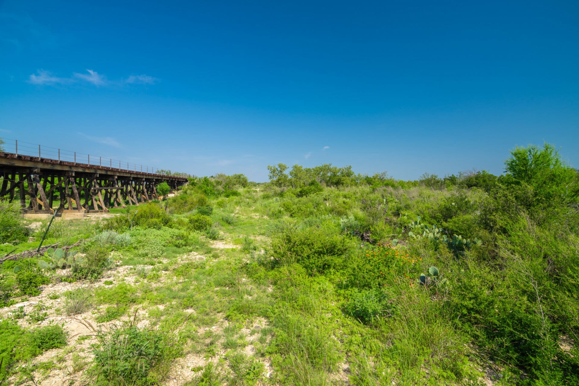 bridge texas terry ranch