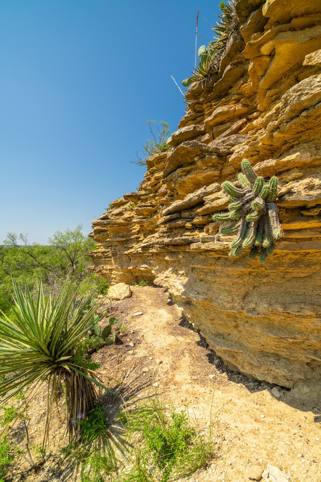 cactus slate rock texas terry ranch