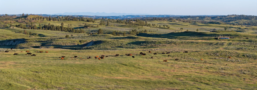 Missouri River Breaks Square Butte Ranch | Sand Springs Montana | Fay ...