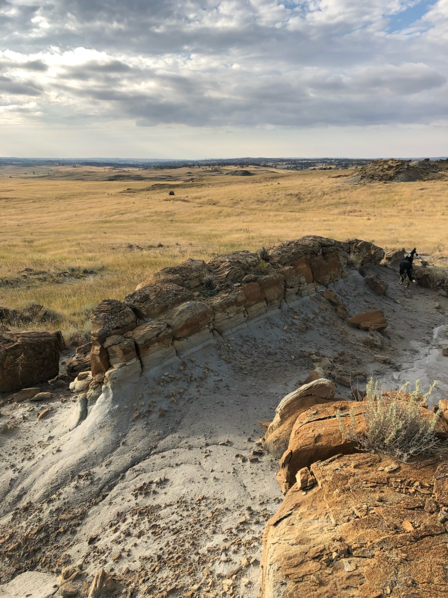 Cool Rock Formation Montana Missouri River Breaks Square Butte Ranch