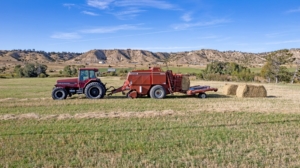 deep creek wildlife sanctuary montana agricultural