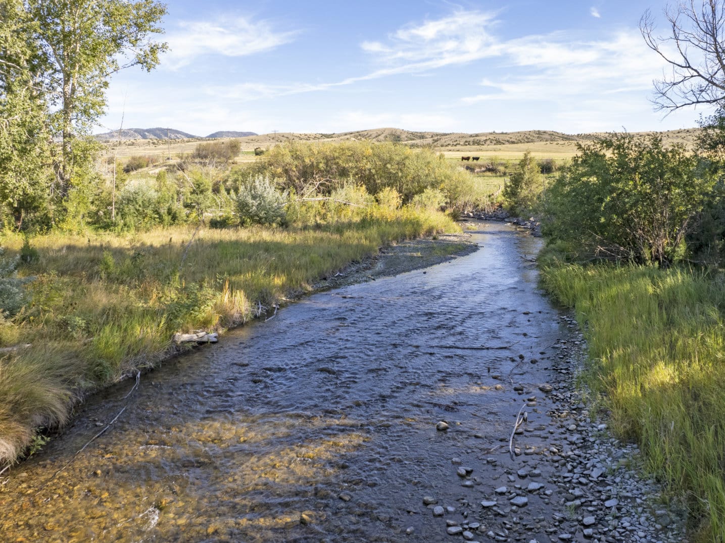 deep creek wildlife sanctuary montana creek