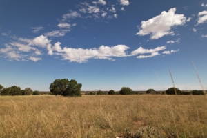 grass range juniper arizona ox yoke ranch