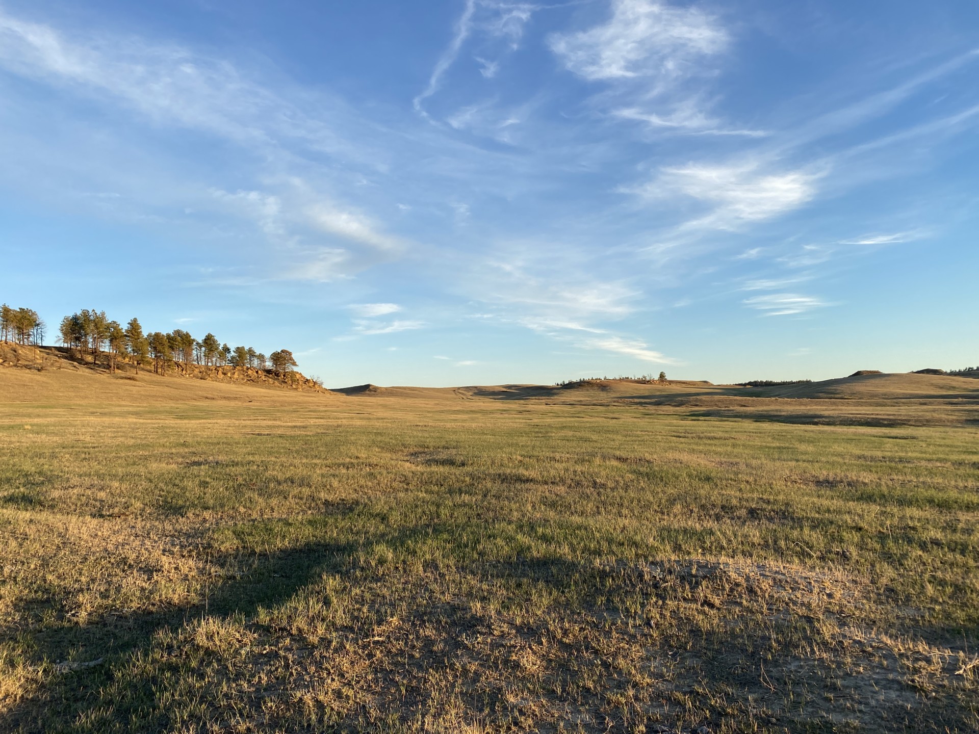 Green Grass in October Montana Missouri Breaks Square Butte Ranch