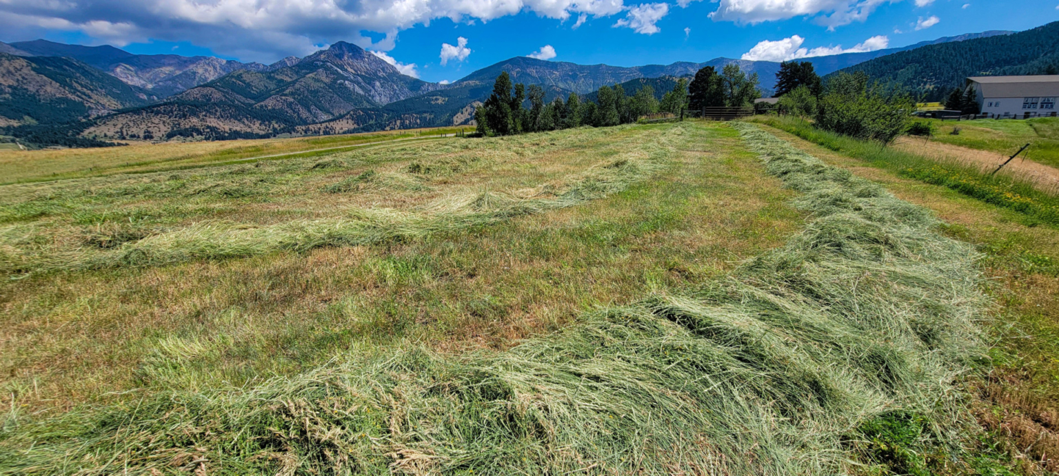 Windcall Ranch Springhill Montana Fay Ranches