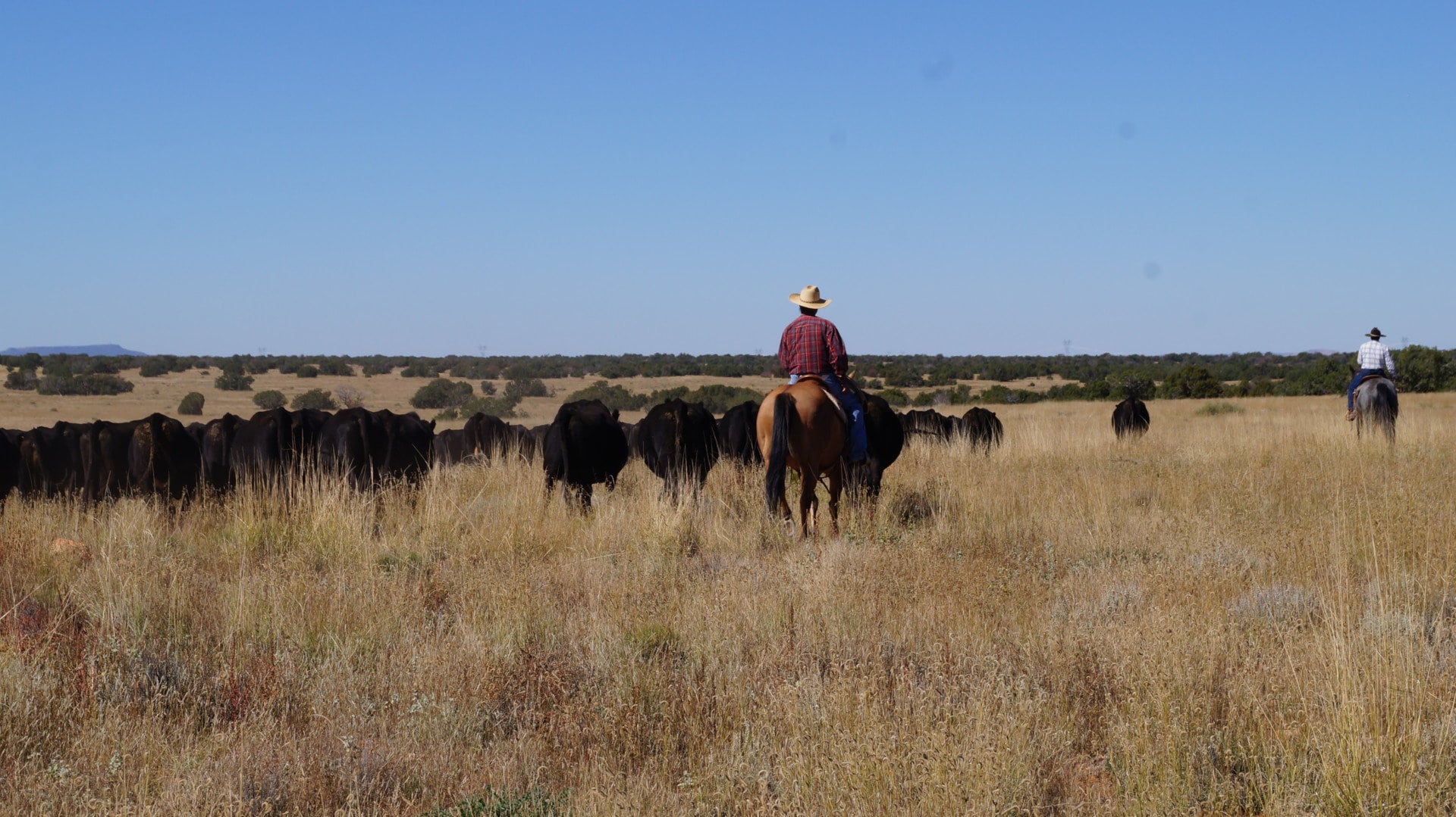 heading to the corrals arizona ox yoke ranch