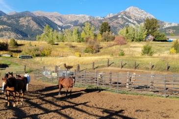equestrian montana windcall ranch