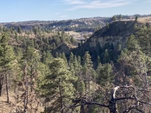 hunting land for sale Montana Missouri River Breaks Wolf Creek Ranch