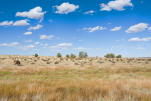 land only for sale colorado saddoris ranch east