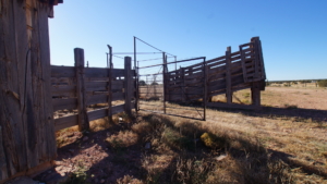 loading chute arizona ox yoke ranch