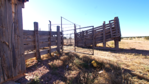 loading chute arizona ox yoke ranch