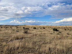 meadow view colorado saddoris ranch east