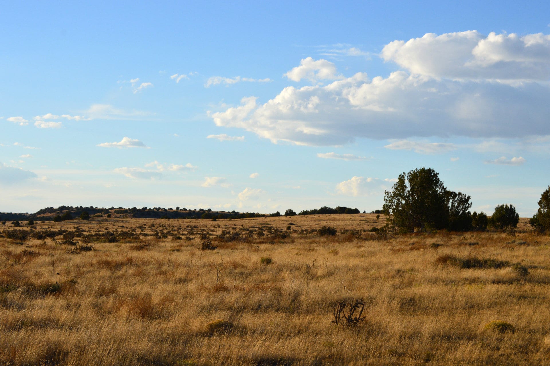 northwest view looking towards comanche grasslands colorado saddoris ranch east