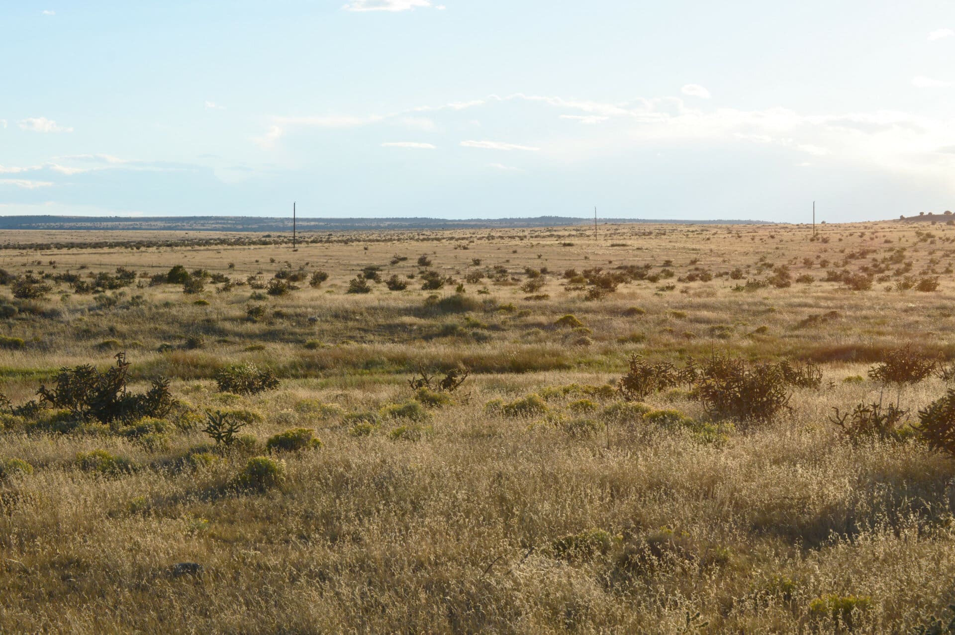 power lines along the road colorado saddoris ranch east