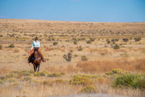 riding south colorado saddoris ranch east