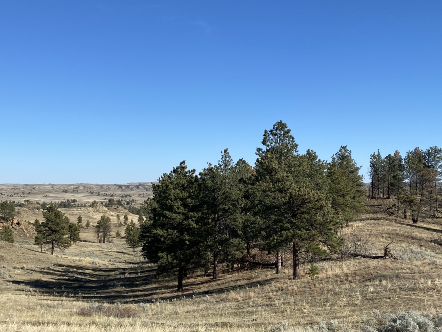 Missouri River Breaks Square Butte Ranch Sand Springs Montana Fay