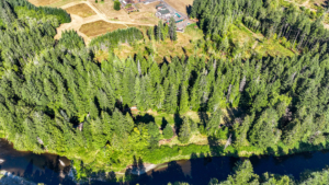 timber land for sale washington labri farms