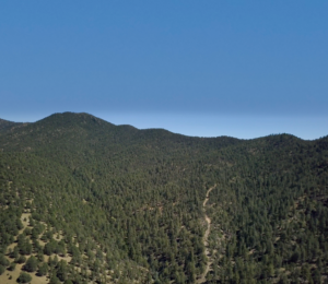 timber property for sale new mexico romero hills ranch