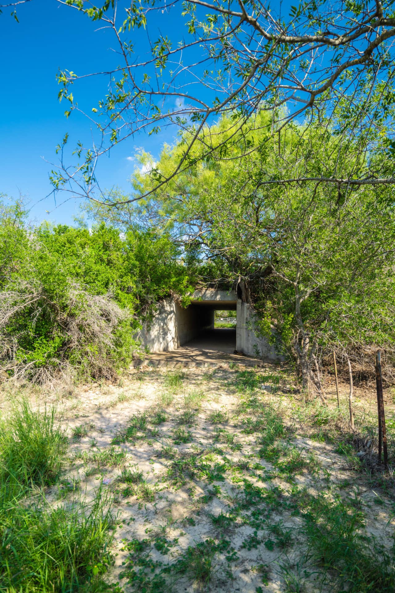 tunnel texas terry ranch