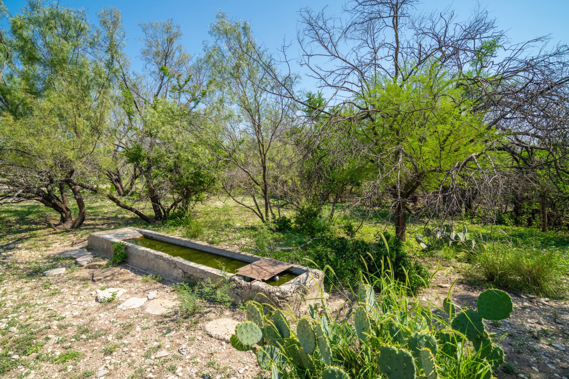 water trough texas terry ranch