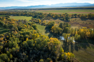 wildlife food and water montana spring river farm on the shields river