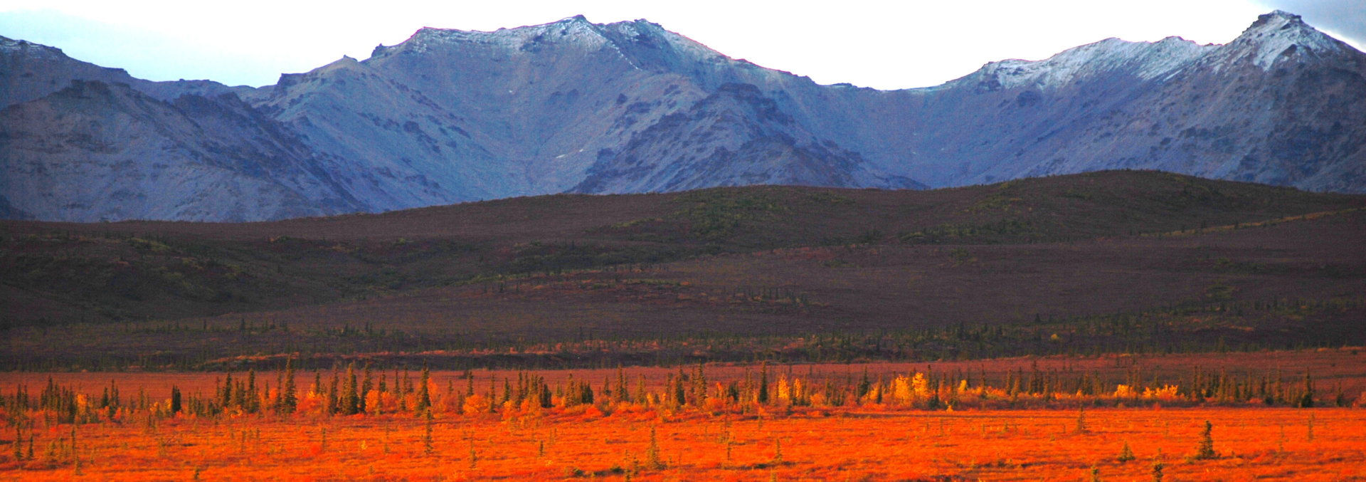 alaska land for sale earthsong lodge