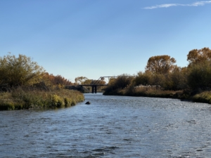 bridge madison buffalo jump equestrian estate