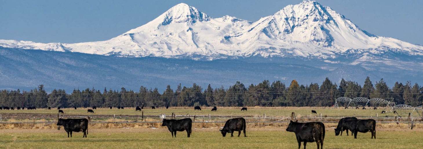 Green Grass Farm Bend Oregon Fay Ranches