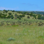 colorado ranch for sale saddoris ranch east