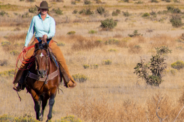 colorado ranches for sale saddoris ranch east