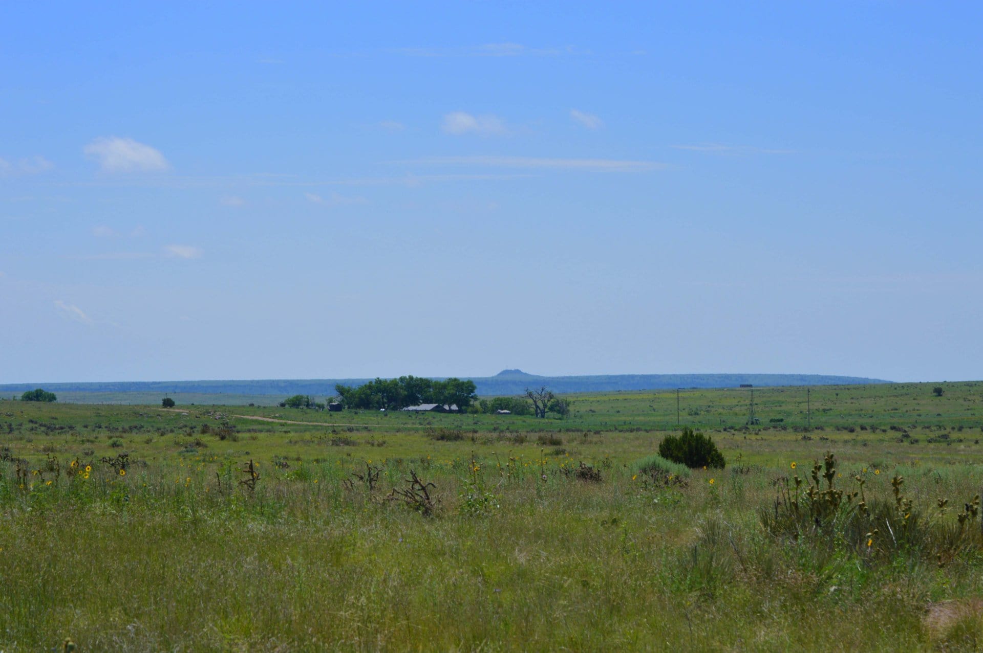 distant butte views colorado saddoris ranch east